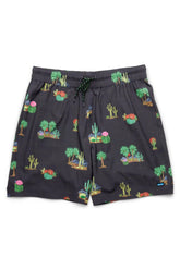 Costa Short